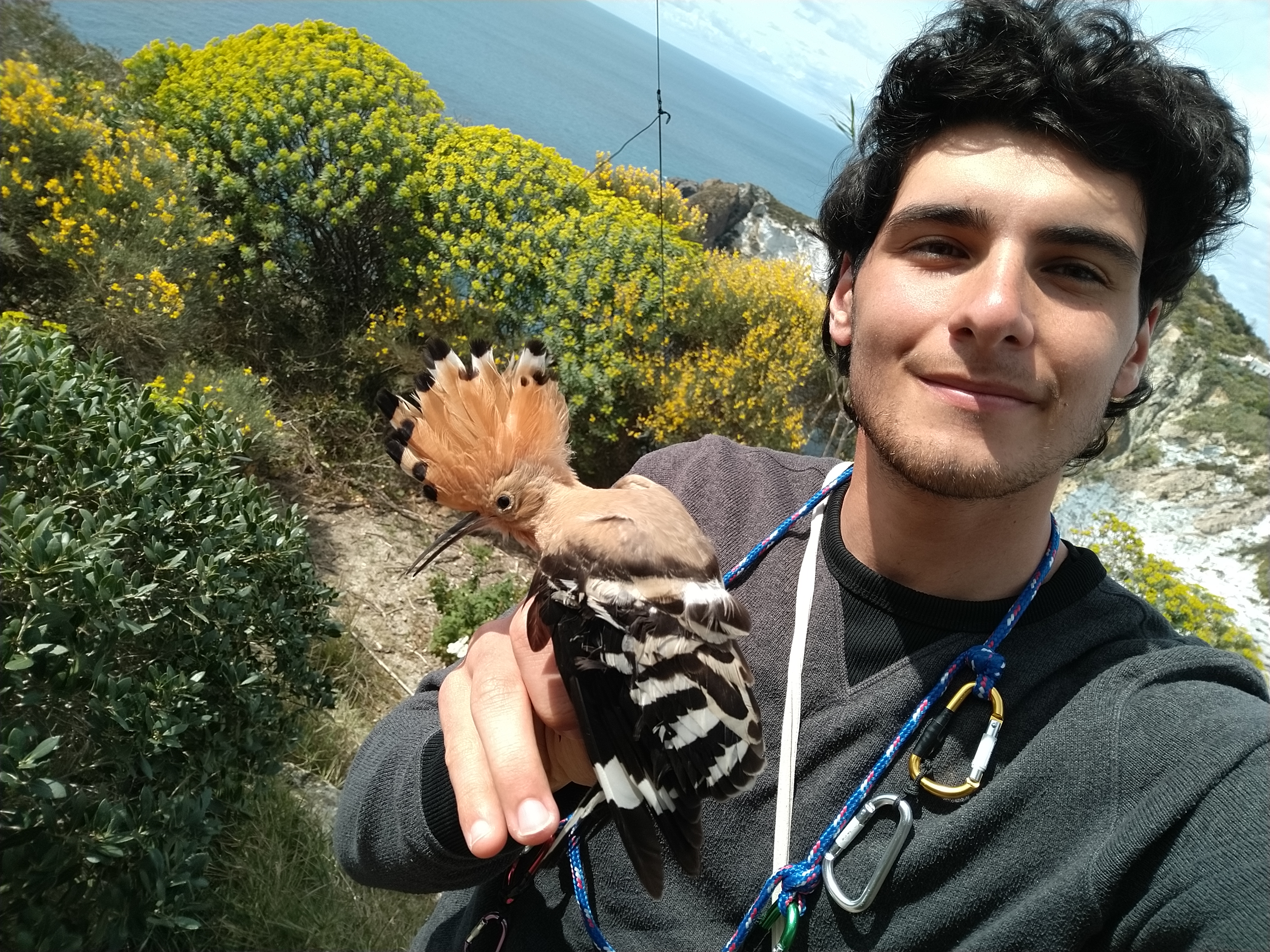 Matteo Guidotti