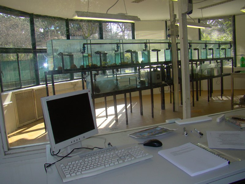 Acquari e attrezzature del laboratorio di allevamento dell’euprotto al Bioparco di Roma